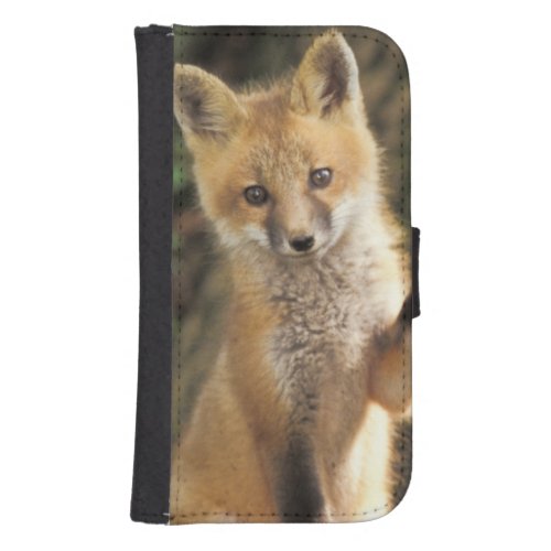 Red Fox pup in front of den Vulpes vulpes Wallet Phone Case For Samsung Galaxy S4