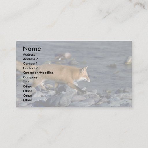 Customizable Red Fox running beside river Business Card