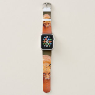 Red fox running on orange autumn leaves. Cute Red  Apple Watch Band
