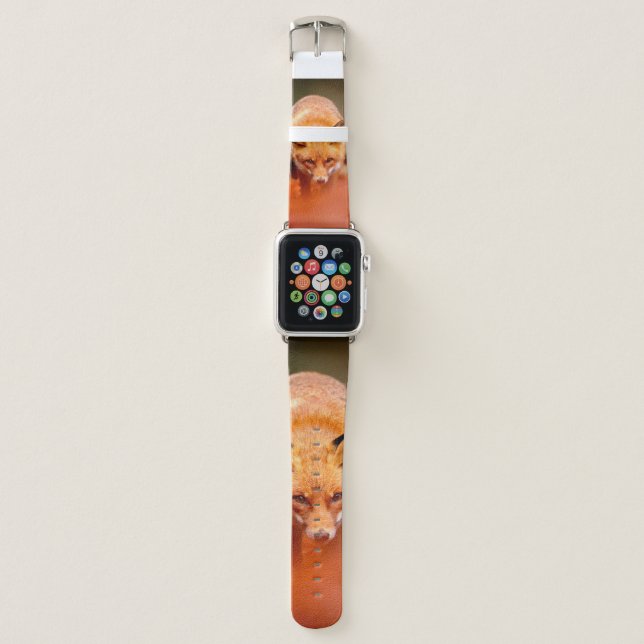 Red fox running on orange autumn leaves. Cute Red  Apple Watch Band (Front)
