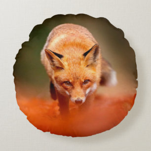 Red fox running on orange autumn leaves. Cute Red Round Pillow