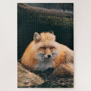Red Fox Sleeping Jigsaw Puzzle