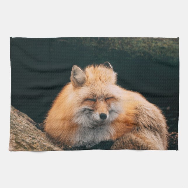 Red Fox Sleeping Kitchen Towel (Horizontal)