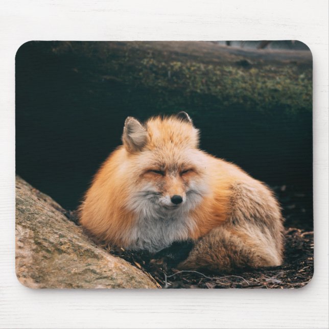Red Fox Sleeping Mouse Pad (Front)