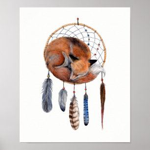 Red Fox Sleeping on Dreamcatcher Poster