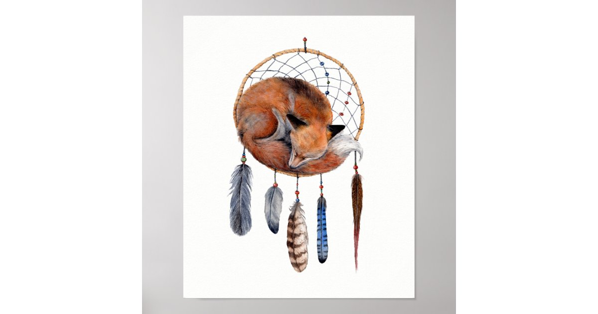 Red Fox Sleeping on Dreamcatcher Poster