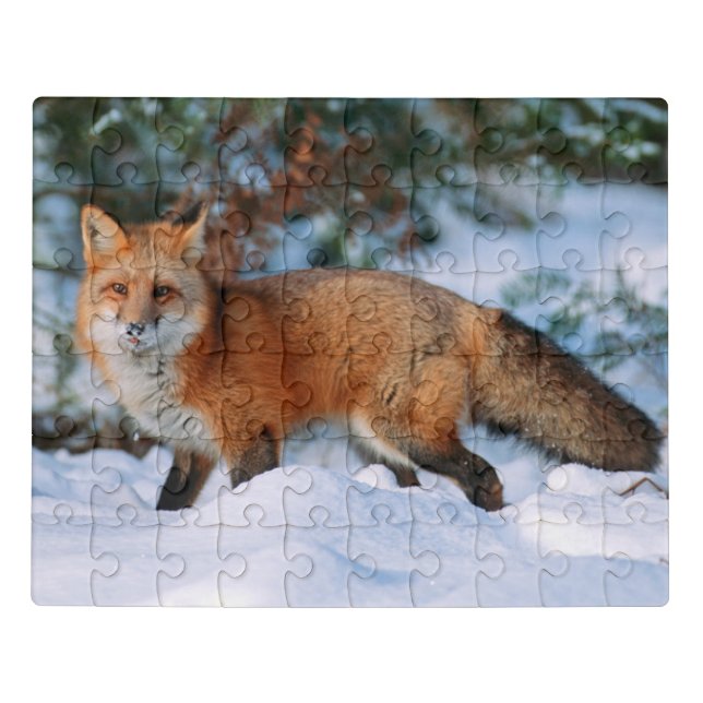 Red Fox | Snow in Winter, Montana Jigsaw Puzzle (Puzzle Horizontal)