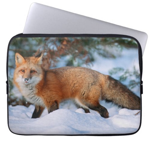 Red Fox  Snow in Winter Montana Laptop Sleeve