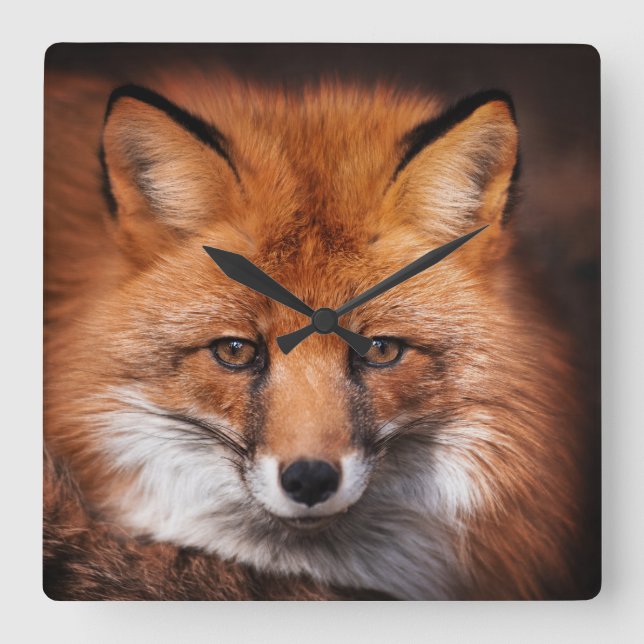 Red Fox Square Wall Clock (Front)