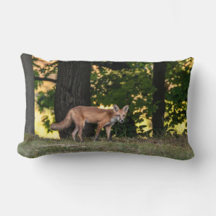 Red Fox Sun And Shade Lumbar Pillow