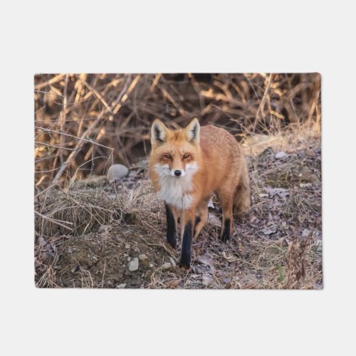 Red Fox up close and personal Doormat