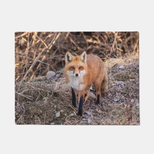 Red Fox up close and personal Doormat (Front)