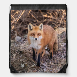 Red Fox up close and personal Drawstring Bag