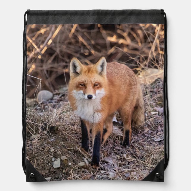 Red Fox up close and personal Drawstring Bag (Front)