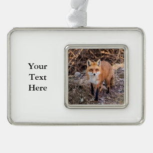 silver fox ornaments keepsake