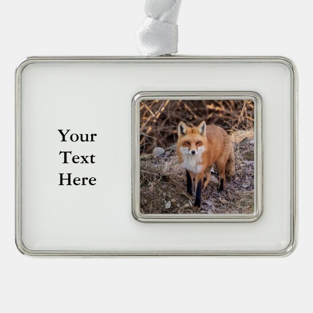 Red Fox up close and personal Ornament (Front)
