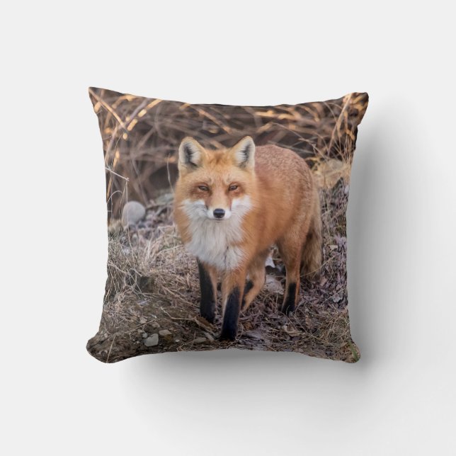 Red Fox up close and personal Throw Pillow (Front)