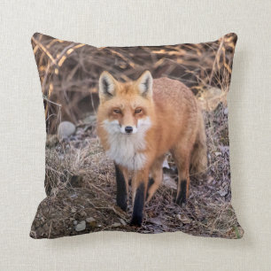 Red Fox up close and personal Throw Pillow