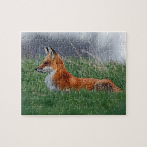 Red Fox Vixen in the Grass Jigsaw Puzzle