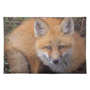 red fox, Vulpes vulpes, in fall colors Placemat