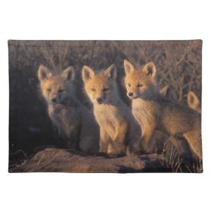 red fox, Vulpes vulpes, kits Cloth Placemat