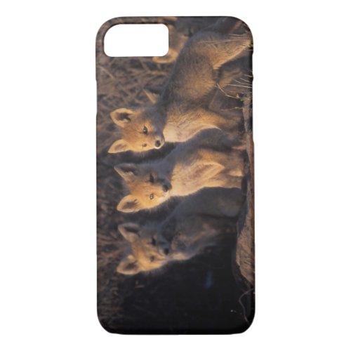 red fox Vulpes vulpes kits outside their iPhone 87 Case