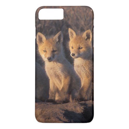 red fox Vulpes vulpes kits outside their iPhone 8 Plus7 Plus Case