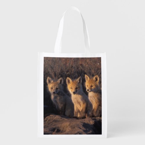 red fox Vulpes vulpes kits outside their Reusable Grocery Bag