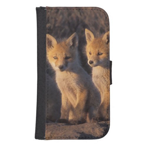 red fox Vulpes vulpes kits outside their Galaxy S4 Wallet Case
