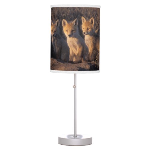 red fox Vulpes vulpes kits outside their Table Lamp