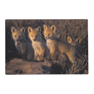 red fox, Vulpes vulpes, kits Placemat