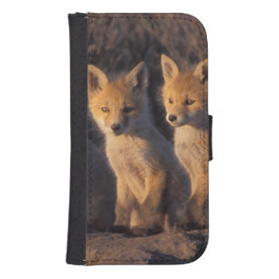 red fox, Vulpes vulpes, kits Galaxy S4 Wallet Case