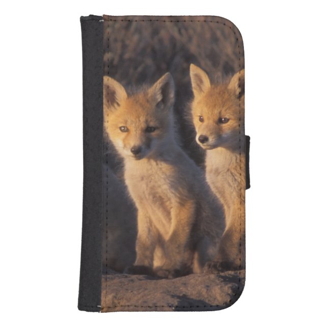red fox, Vulpes vulpes, kits Samsung Galaxy Wallet Case (Front)