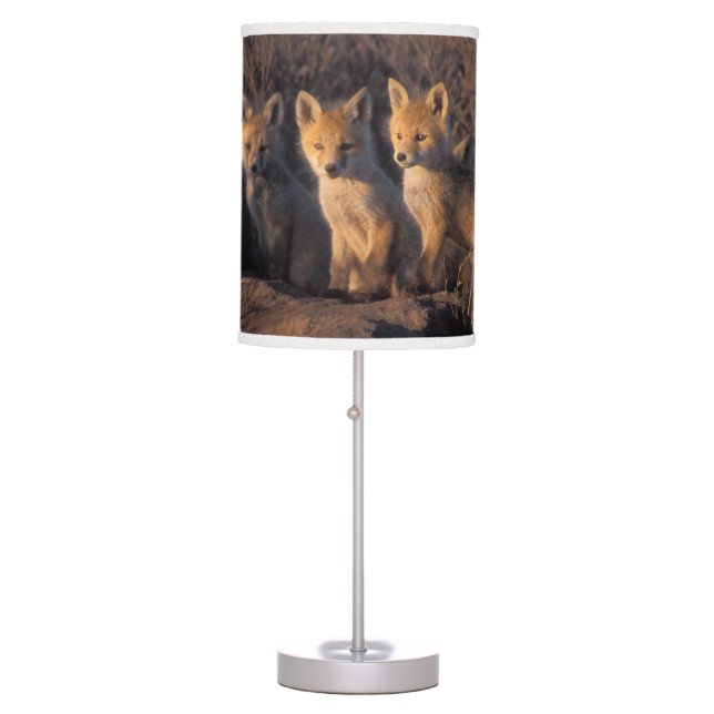red fox, Vulpes vulpes, kits Table Lamp (Front)