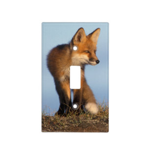 red fox, Vulpes vulpes Light Switch Cover
