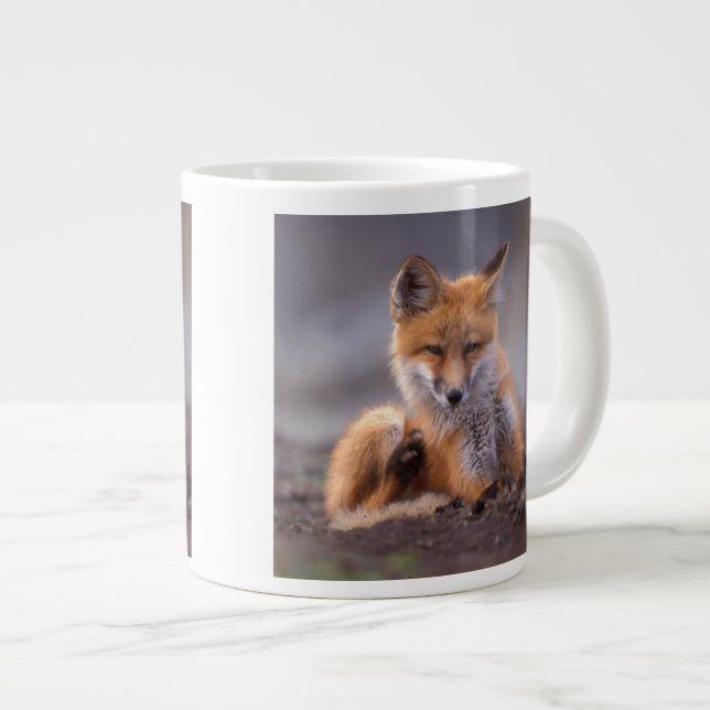 red fox, Vulpes vulpes, pup scratching itself, Giant Coffee Mug (Front Right)