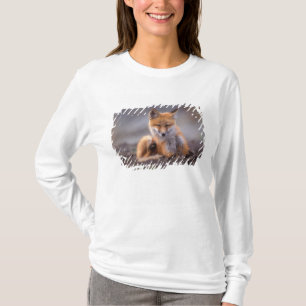 red fox, Vulpes vulpes, pup scratching itself, T-Shirt
