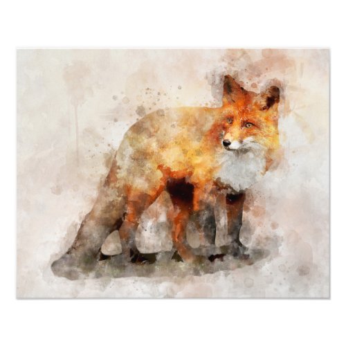 Red Fox Watercolor Portrait 04 Photo Print