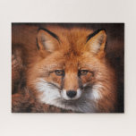 Red Fox Wild Woodland Animal Jigsaw Puzzle<br><div class="desc">This design features a gorgeous photo of a red fox.
#fox #redfox #photo #puzzles #jigsaw #jigsawpuzzle #game #fun #stockingstuffers #secretsanta #gifts #giftsforhim #giftsforher #christmasgifts #holidaygifts</div>