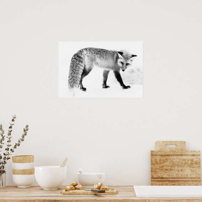 Red Fox WildLife Black & White Photography Art Poster (Kitchen)