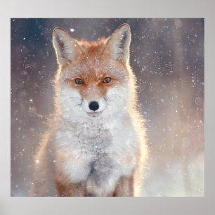 Red fox, winter forest, scenic illustration. poster