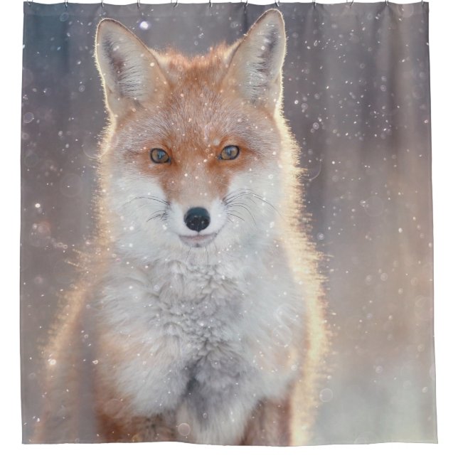 Red fox, winter forest, scenic illustration. shower curtain (Front)