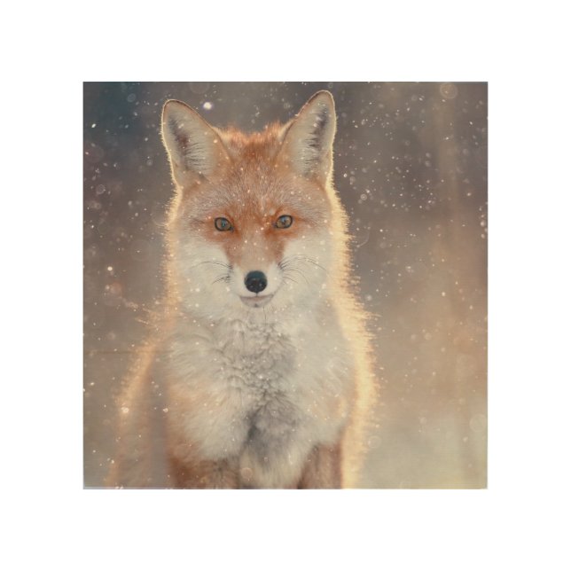 Red fox, winter forest, scenic illustration. wood wall art (Front)