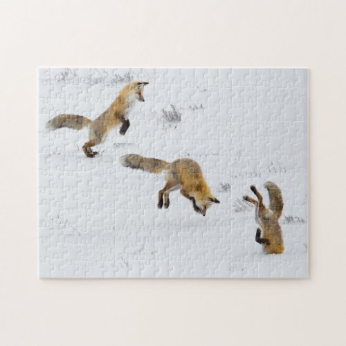 Red Fox With Head in Snow Jigsaw Puzzle