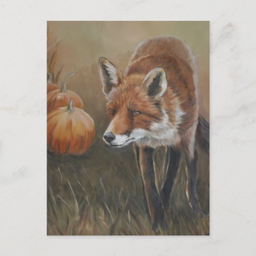 Red Fox with Pumpkins Art Postcard