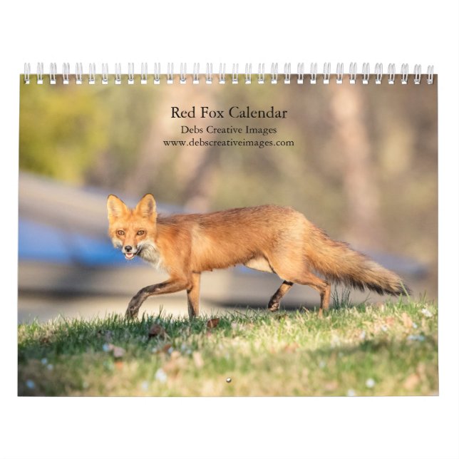 Red Foxes - 2026 Calendar (Cover)