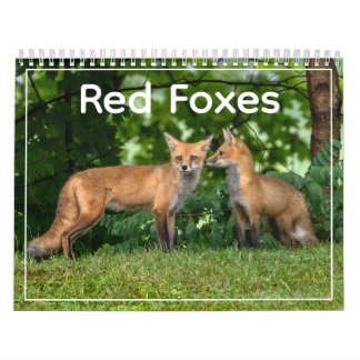 Red Foxes Calendar
