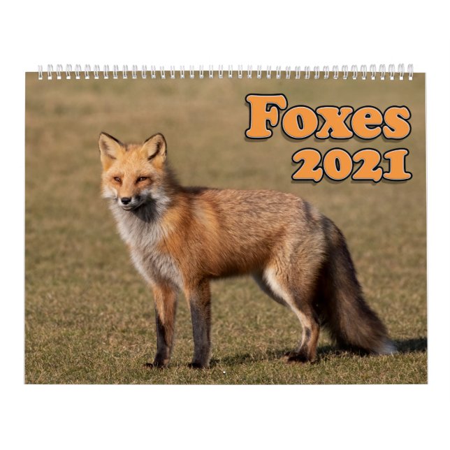 Red Foxes Calendar 2021 (Cover)