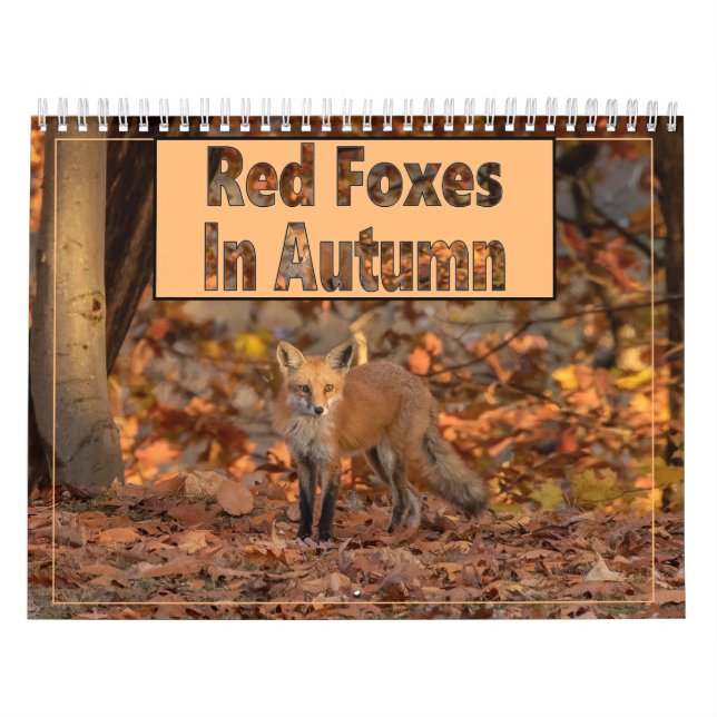 Red Foxes In Autumn Calendar (Cover)