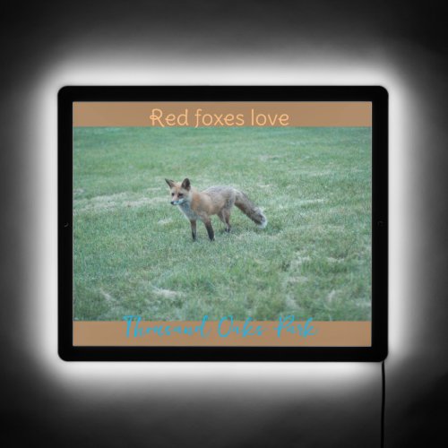 red foxes love Thousand Oaks Park LED Sign